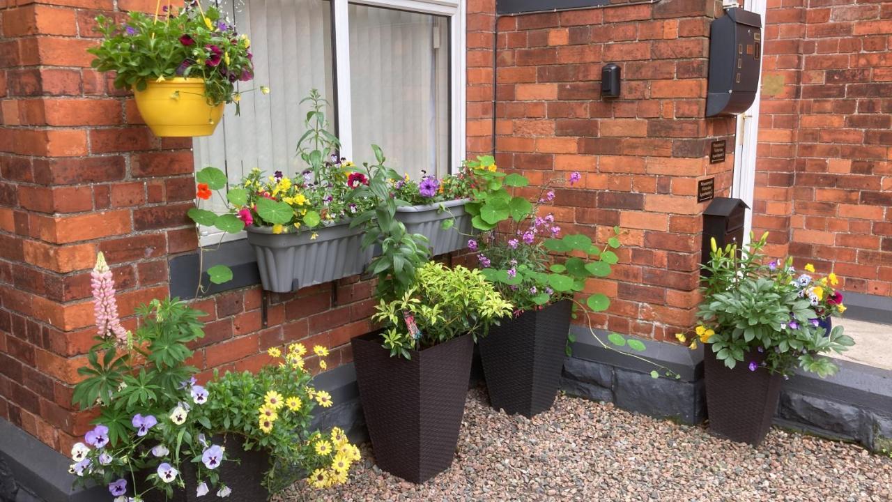 Mountroyal Victorian Self Catering Apartment 2 Belfast Eksteriør bilde